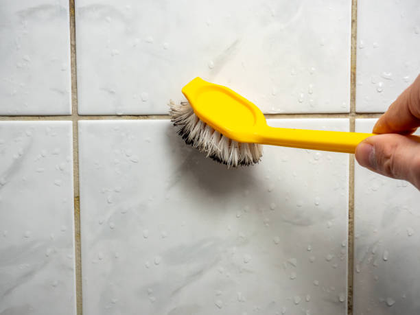 Best DIY Mold Remediation Support Services in Seven Corners, VA