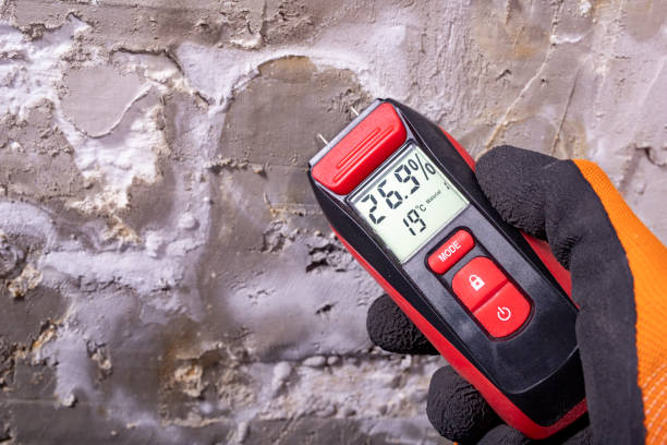 Best Bathroom Mold Remediation in Seven Corners, VA